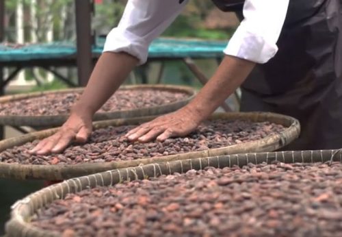 Trải nghiệm quy trình làm socola